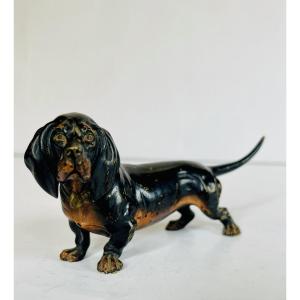 Vienna Bronze Basset Geschützt